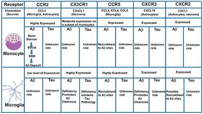 Roles of Microglial and Monocyte Chemokines and Their Receptors in Regulating Alzheimer's Disease-Associated Amyloid-β and Tau Pathologies